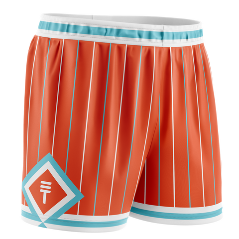 Pinstripe Shorts - Orange  & Teal