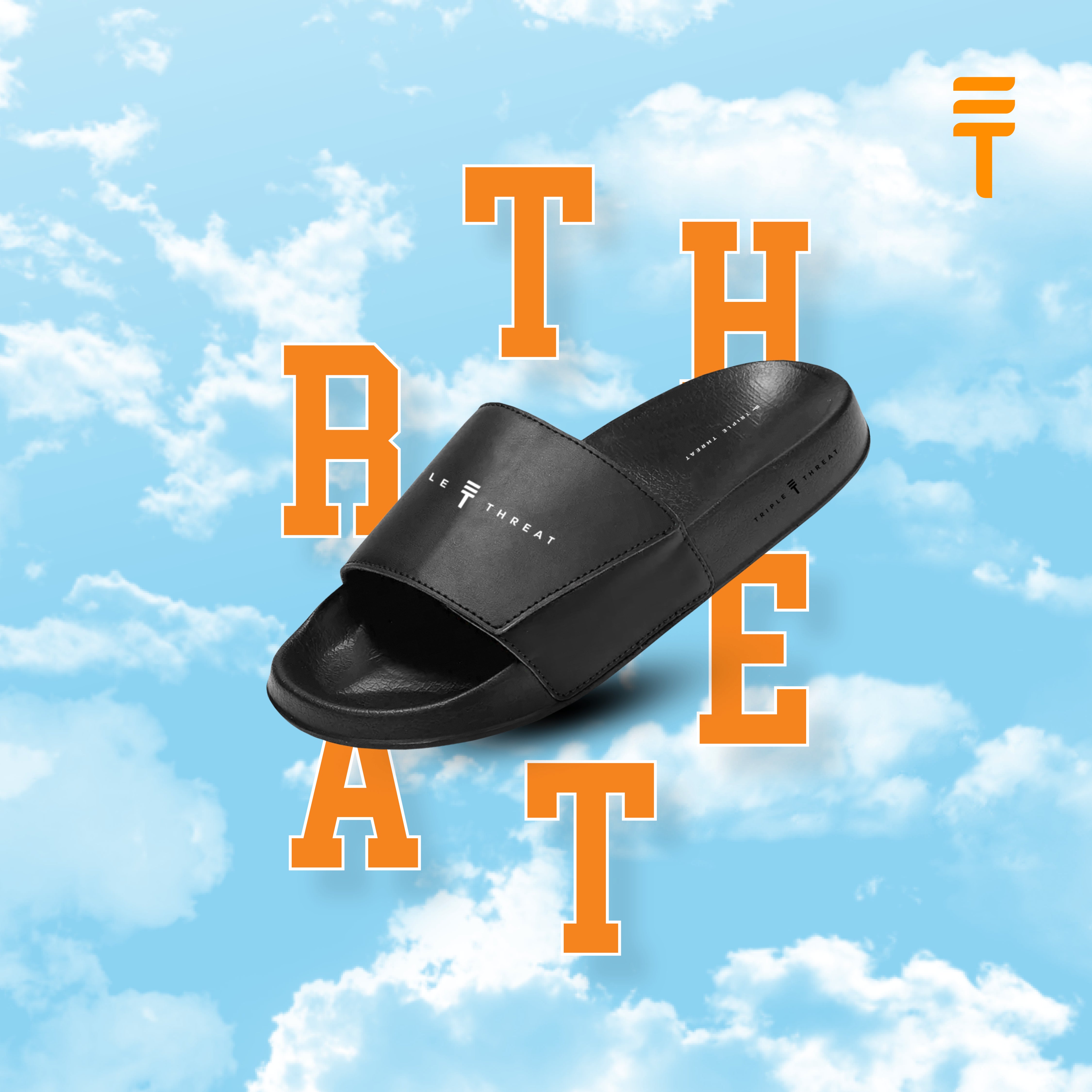 Slides
